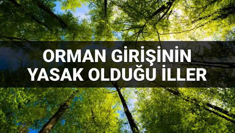 2025'te Ormanda Girmek Yasaklanan İller Açıklandı: Listede Hangi Şehirler Var?