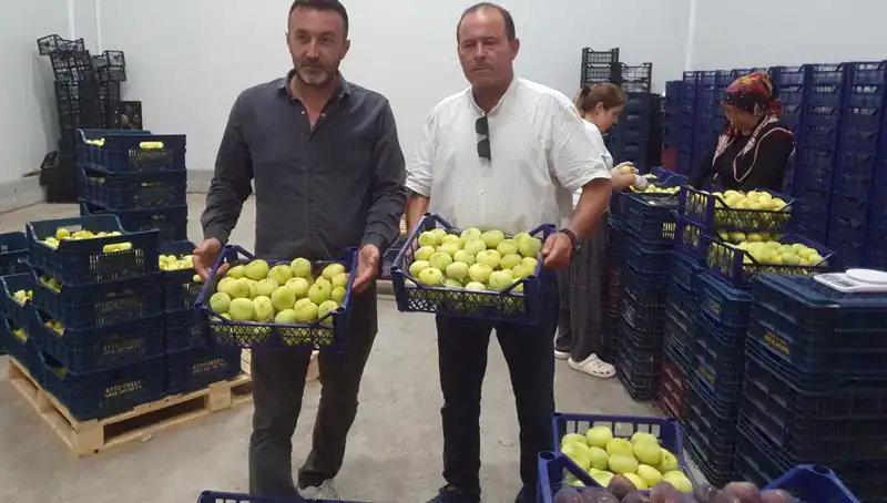 Mersinli Çiftçi İhracattan Umut Doldurdu: Tanesi 20 TL!
