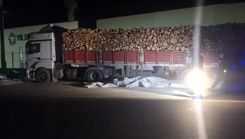 Otomobilin Çarptığı TIR Sürücüsü: Brandayı Toplarken Korkunç Kaza