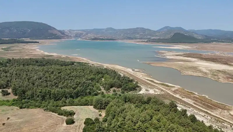 İzmir'de Tehlike Çanları: 2022'ye Göre Yüzde 50 Düşüş Nedenleri