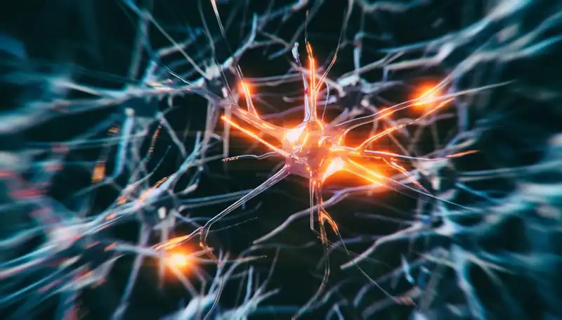 Alzheimer Vakalarında Şok Artış: Sebepler ve Çözümler Neler?