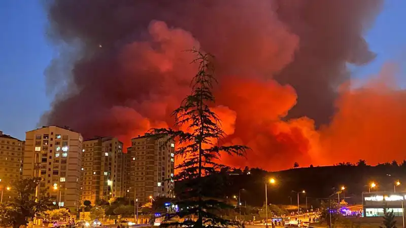 Bursa’da Yangın Korkusu: Şehirdeki Alevler Yayılıyor