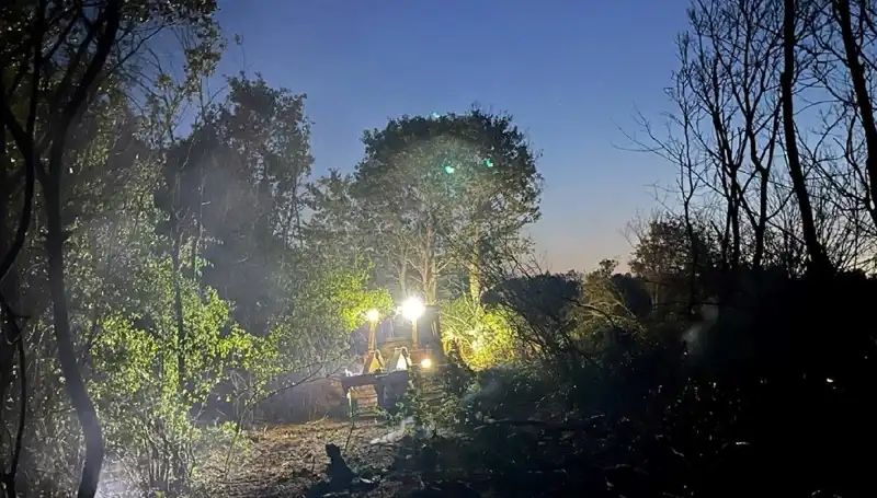 Edirne'deki Orman Yangını Ekiplerin Yoğun Mücadelesiyle Kontrol Altına Alındı