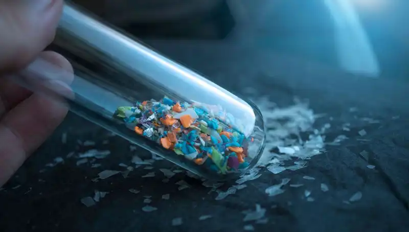 Mikroplastikler İnsan Beyninde: Sağlığımız Üzerindeki Etkileriyle İlgili Şok Edici Bulgu