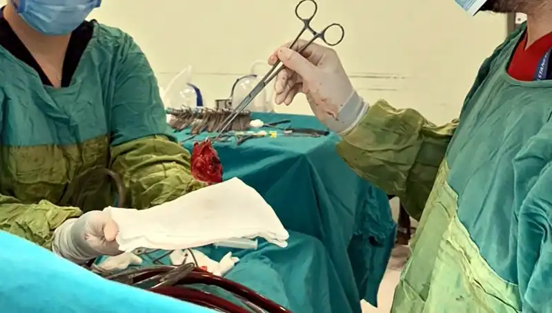 Kalp Kapağı Çürüyen Hasta, 7 Saatlik Ameliyatla Hayata Döndürüldü
