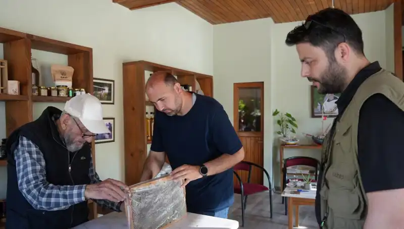 Doğanın Gizemi: Hem Şifa Hem Zehir Olan Bu Bitkiyi Dikkatli Tüketin!